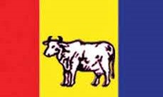  (राप्रपा) मा देखा परेको विवाद समाधानका लागि पदाधिकारी बैठक बस्दै